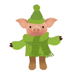 Pig in sweater isolated on white background. Vector illustration.