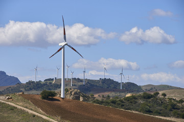 Parco Eolico sulle Madonie in Sicilia