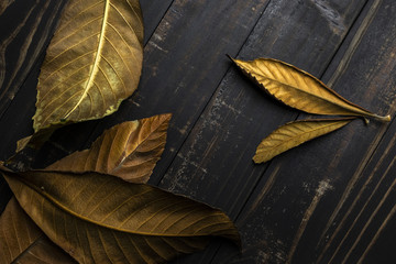 Overhead Shot of Leaves of Rustic Wood Background