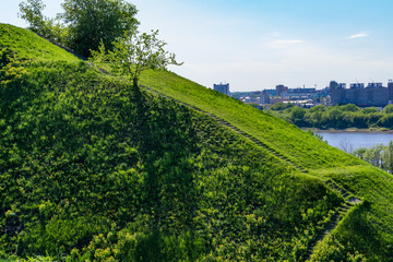 Green hill with a path leading to a tree. In the distance is the city.