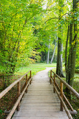 Road with a bridge leading through the autumn trees