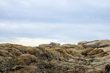 reef is a group of rocks a ridge of sand and blue sky background