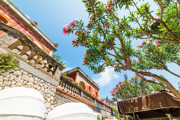 Fototapeta na wymiar Elegant building and oleander tree in world famous Capri island