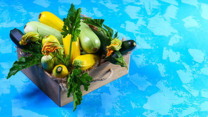 Squash Marrow zucchini in a wooden box on a blue background. Authentic lifestyle image. Seasonal harvest crop local produce concept. Top view. Copy space