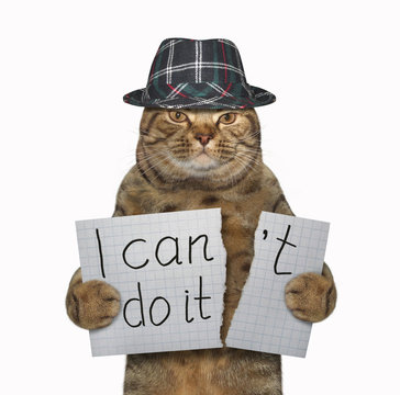 The cat in a hat is tearing a piece of paper where writing the phrase " I can't do it ". White background. 