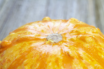 Orange Gourd Macro