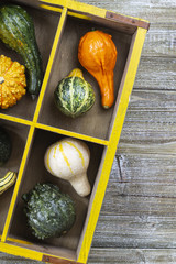 Various Gourds in a Yellow Crate
