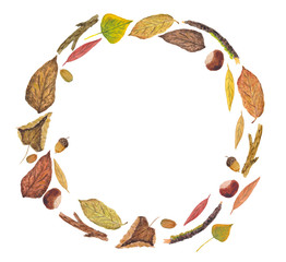 Autumn round frame of the elements of the autumn forest