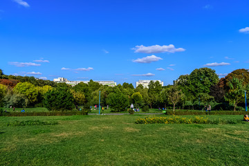 Park landscape with beautiful green field and ski