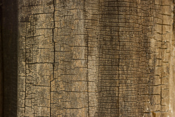 Cracked old wood texture