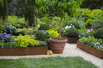 horizontal image of a garden with many plants very neat and tidy