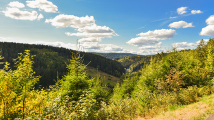 Fototapeta na wymiar Fichtelgebirge Warmensteinach Landschaft Ochsenkopf