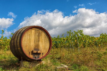 Fototapeta premium Weinfass vor den Weinreben