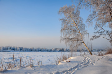 Snowy January morning in Nevsky forest Park.