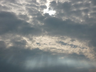 Obraz premium Природа