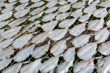 White dried fish on the grill with top view., Thailand.