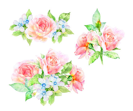 Watercolor flowers illustration. Isolated composition. 