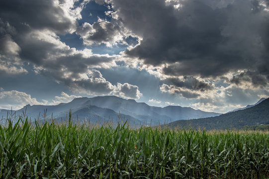 Landscape In Spain, 