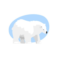 White arctic bear animal vector Illustration on a white background