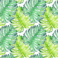 Hand drawn watercolor seamless pattern with tropical leaves  - 225371727