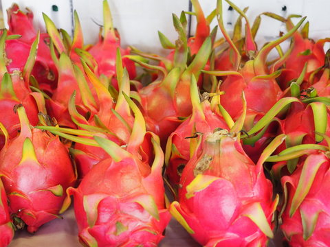 Dragon fruits