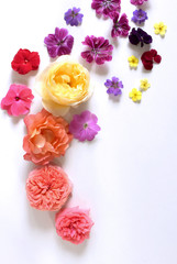 Feminine floral composition. Bouquet of wild and garden flowers . Flat lay, top view.