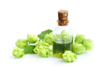 Hop cones (Humulus) with medicinal plant extract in glass bottle isolated on white background