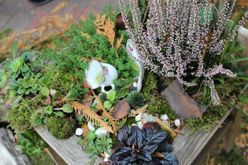 a chair for the autumn decoration