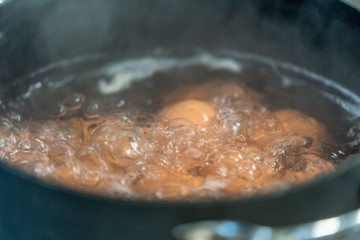 Eggs Boiling in Water