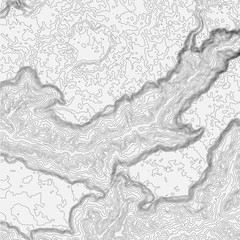 Topographic map background concept with space for your copy. Topo contour map background, vector illustration