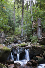 View of the Ilse stream in the Harz Mountains, Germany. Fairytale forest. Magic forest.