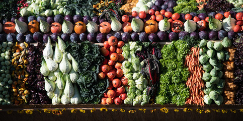 Aufgereihte Gemüsesorten zum Erntedankfest