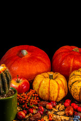 Traditional German Autumn pumpkins, berries, nuts and cactus as still-life