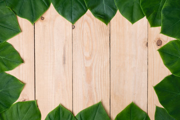 Frame out of green leaves on wooden background