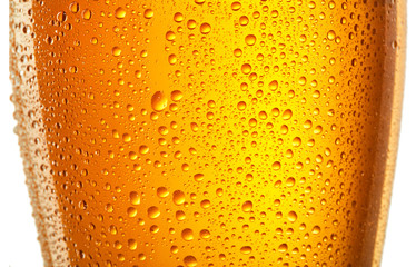 glass of beer with drops of water on black background