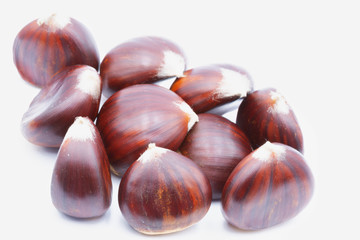 blur in the light background lots of chestnut