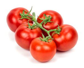 tomatoes Isolated