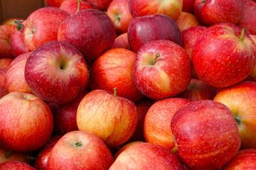 Fototapeta na wymiar A bunch of red ripe apples