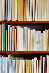 Picture of books on the shelves.