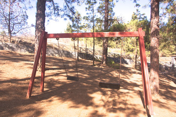 Fototapeta na wymiar A two-seater swing in a public park in the pine forest