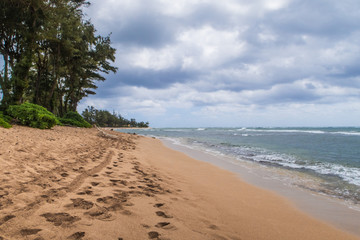 beach in hawaii