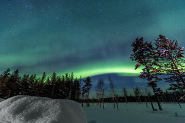 Northern Lights over snow-covered forest