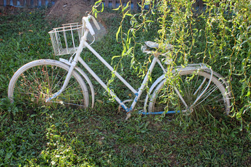 The old bycicle half buried in the ground