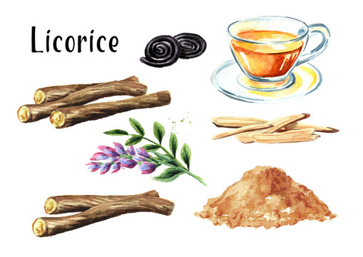 Licorice Root, Flower, Tea, Candy Set. Watercolor Hand Drawn Illustration Isolated On White Background