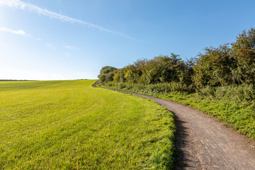 Obraz premium A pathway through a green Sussex landscape, on a sunny autumn day