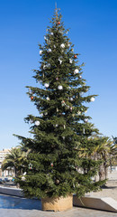 Festive Christmas tree in the city centre in sunny day