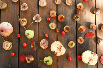 fruits and brushes on wood table art and autumn mood