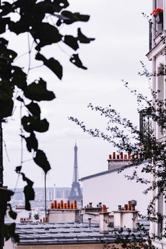 Vue de Paris, immeuble, toits et Tour Eiffel