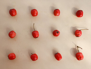 Naklejka na ściany i meble red berries on beige background