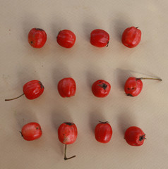 red berries on beige background